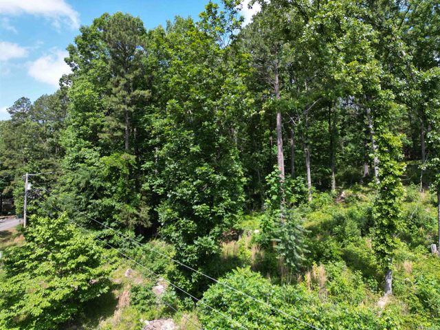 9999 Rockwood Drive, Tumbling Shoals, AR 72546