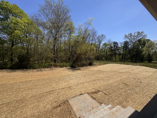 5924 Luke Court, Arrington, TN 37014