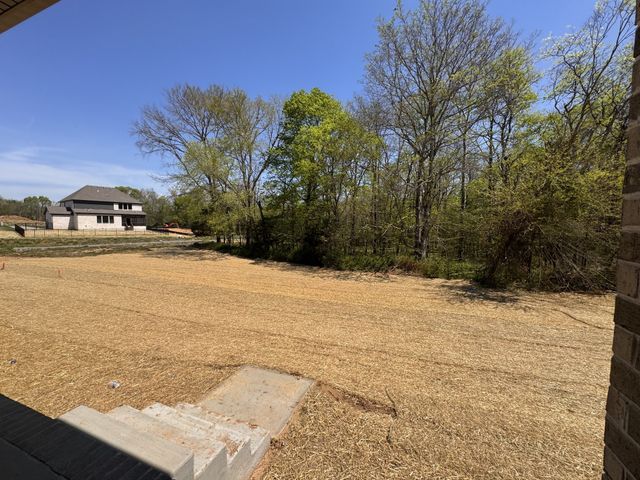 5924 Luke Court, Arrington, TN 37014