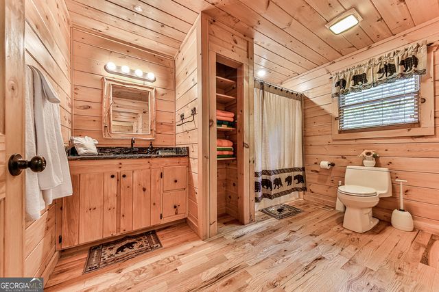 88 Black Gum Lane, Blue Ridge, GA 30513