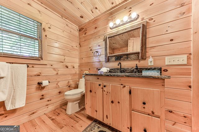 88 Black Gum Lane, Blue Ridge, GA 30513