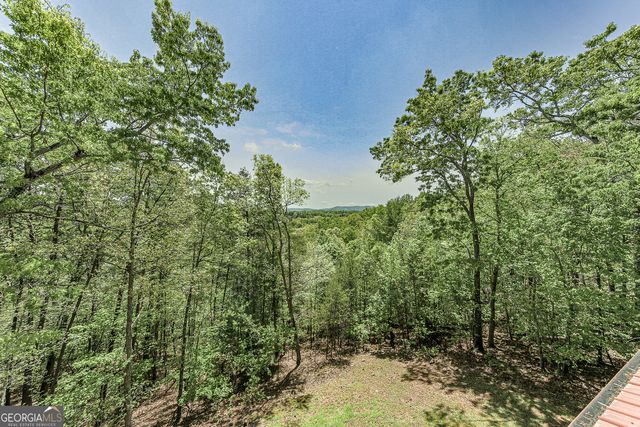 88 Black Gum Lane, Blue Ridge, GA 30513