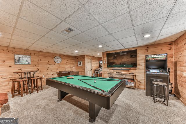 88 Black Gum Lane, Blue Ridge, GA 30513