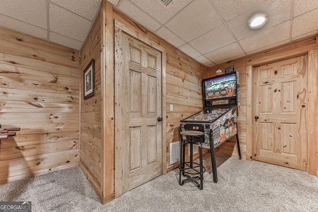 88 Black Gum Lane, Blue Ridge, GA 30513