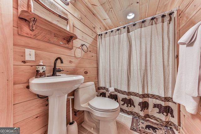 88 Black Gum Lane, Blue Ridge, GA 30513