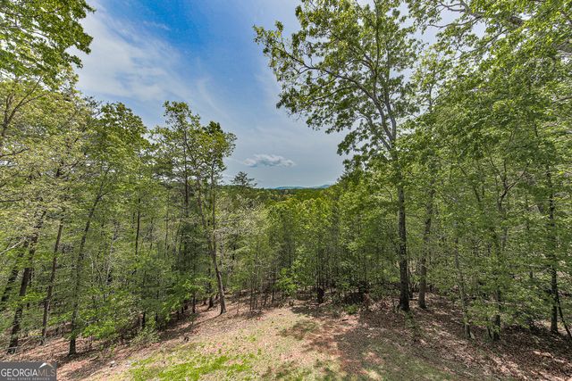 88 Black Gum Lane, Blue Ridge, GA 30513