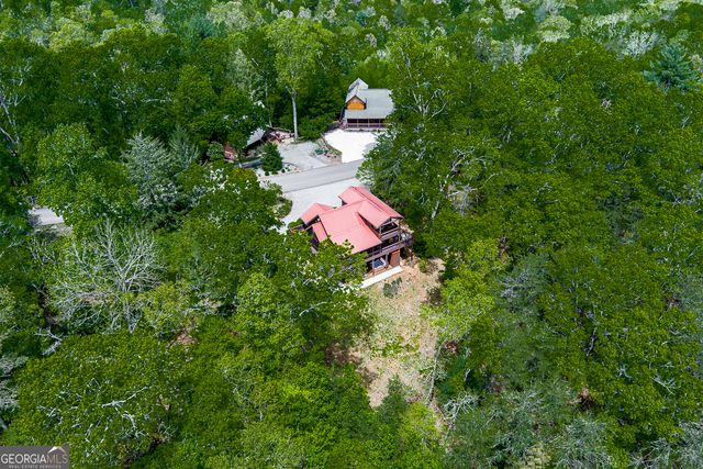 88 Black Gum Lane, Blue Ridge, GA 30513