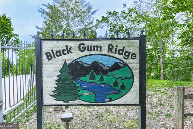 88 Black Gum Lane, Blue Ridge, GA 30513