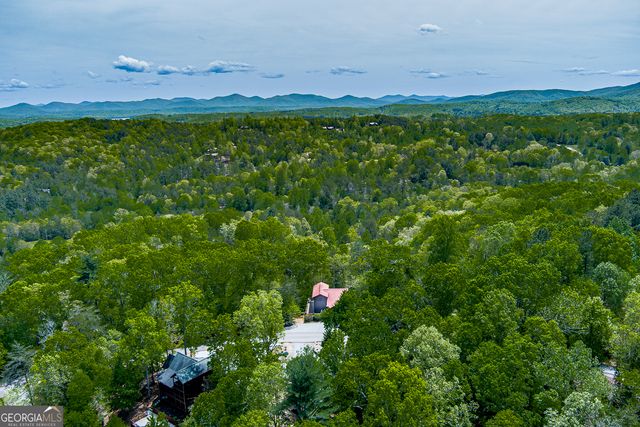 88 Black Gum Lane, Blue Ridge, GA 30513