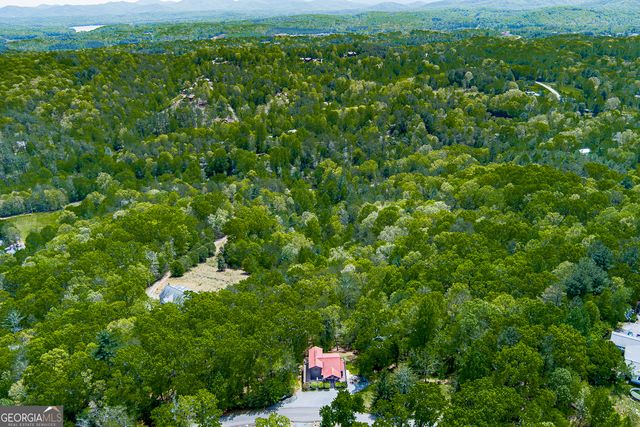 88 Black Gum Lane, Blue Ridge, GA 30513