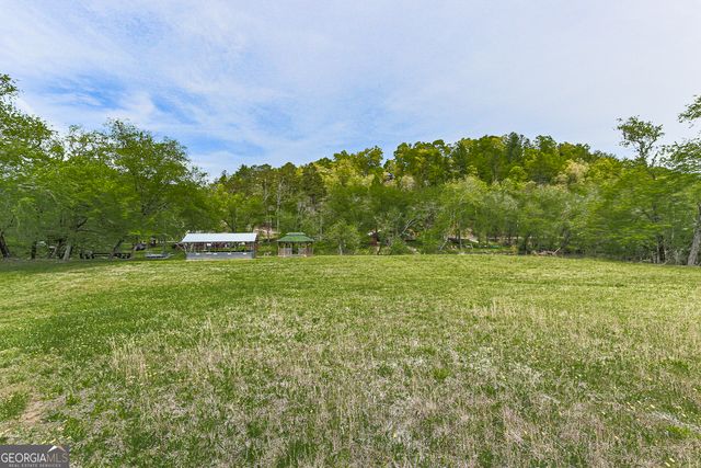 88 Black Gum Lane, Blue Ridge, GA 30513