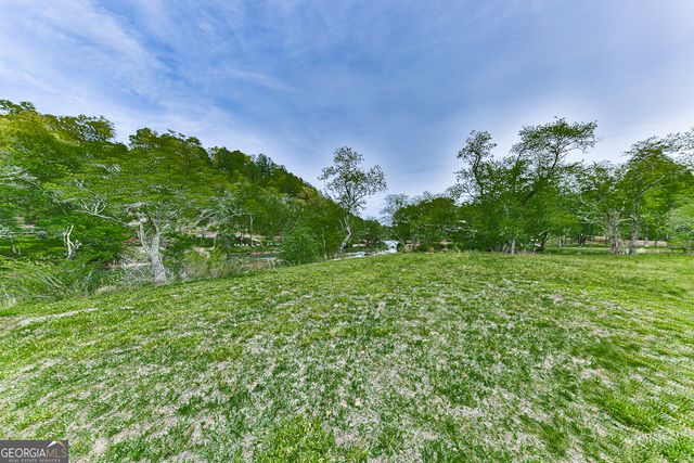 88 Black Gum Lane, Blue Ridge, GA 30513