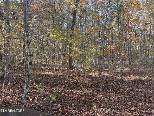 0 Davidson Lane, Crossville, TN 38571