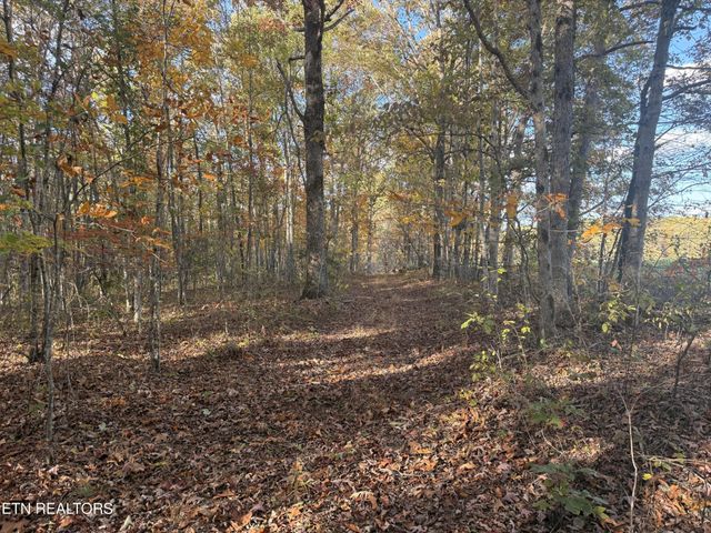 0 Davidson Lane, Crossville, TN 38571