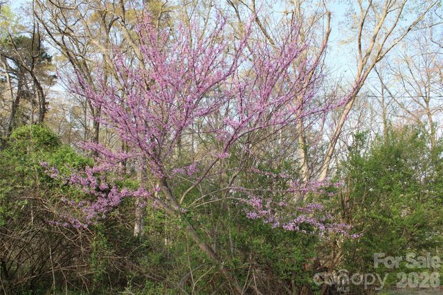 Lot 16 Lake Front Drive, Catawba, NC 28609