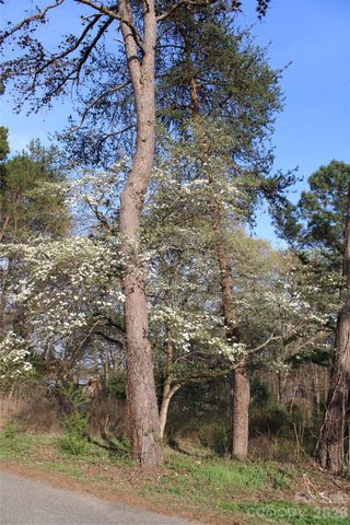 Lot 16 Lake Front Drive, Catawba, NC 28609