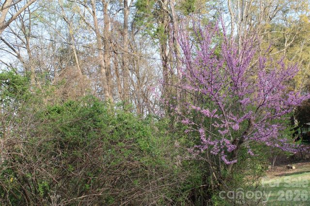 Lot 16 Lake Front Drive, Catawba, NC 28609
