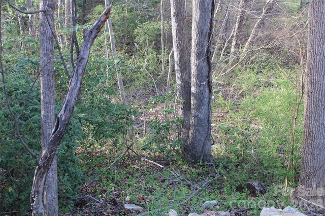 Lot 16 Lake Front Drive, Catawba, NC 28609