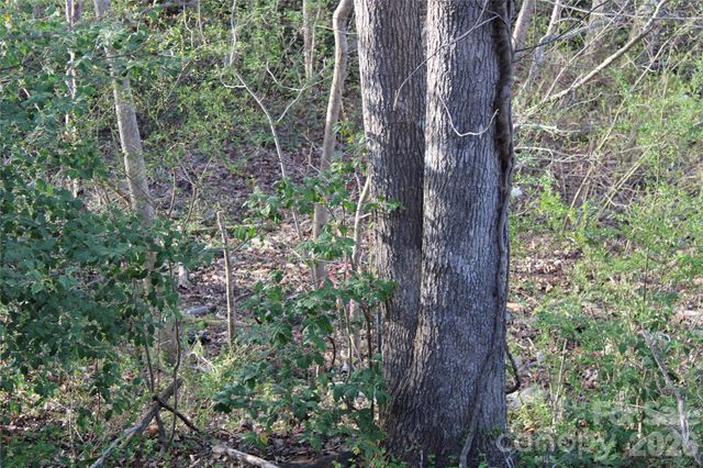 Lot 16 Lake Front Drive, Catawba, NC 28609