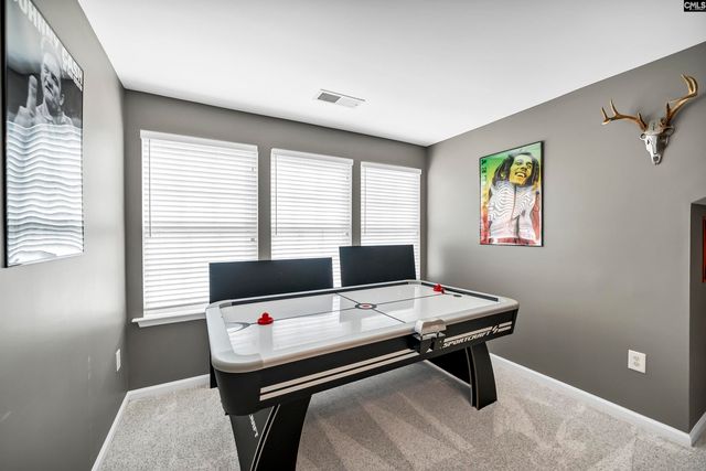 224 Millwright Drive, Lexington, SC 29072