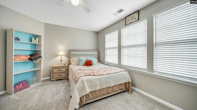 224 Millwright Drive, Lexington, SC 29072