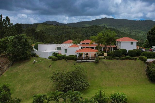 184 km BO GUAVATE BRISAS DEL BOSQUE 7, Cayey, PR 00736