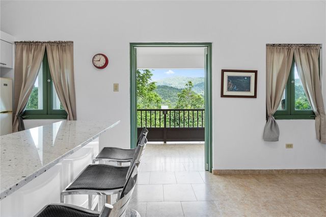 184 km BO GUAVATE BRISAS DEL BOSQUE 7, Cayey, PR 00736