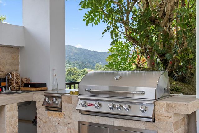 184 km BO GUAVATE BRISAS DEL BOSQUE 7, Cayey, PR 00736