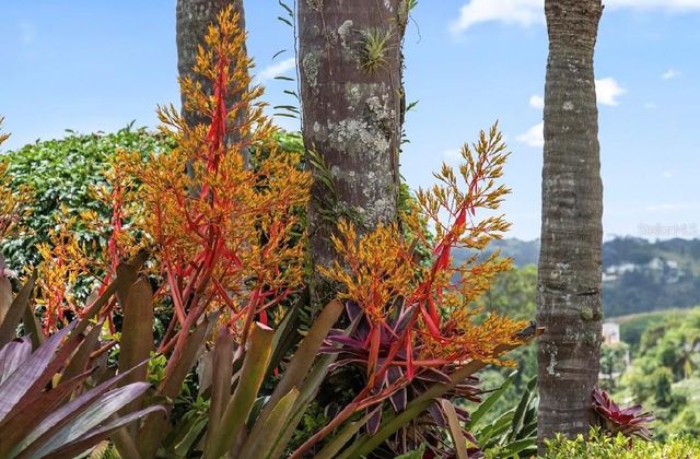 184 km BO GUAVATE BRISAS DEL BOSQUE 7, Cayey, PR 00736