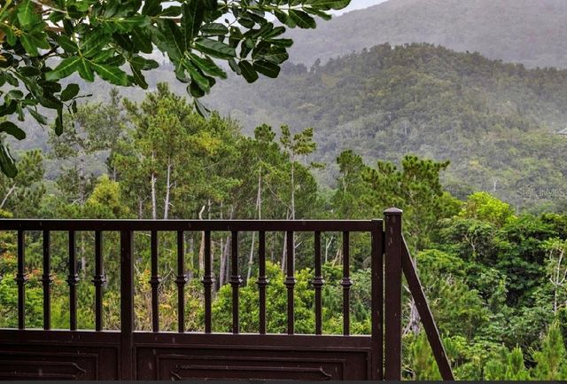 184 km BO GUAVATE BRISAS DEL BOSQUE 7, Cayey, PR 00736