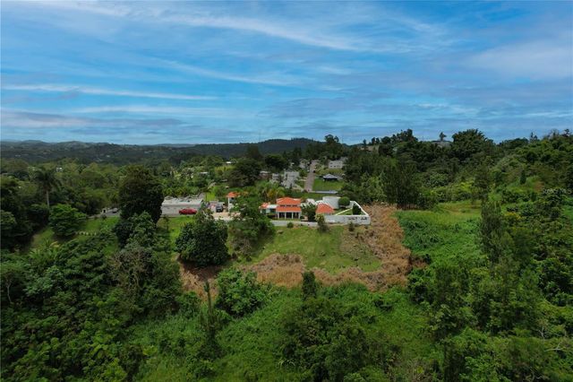 184 km BO GUAVATE BRISAS DEL BOSQUE 7, Cayey, PR 00736