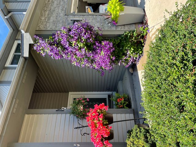 33124 N Shannon Drive, Grayslake, IL 60030