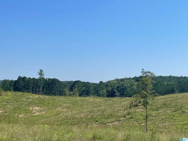 3679 CHELSEA ROAD, Columbiana, AL 35051