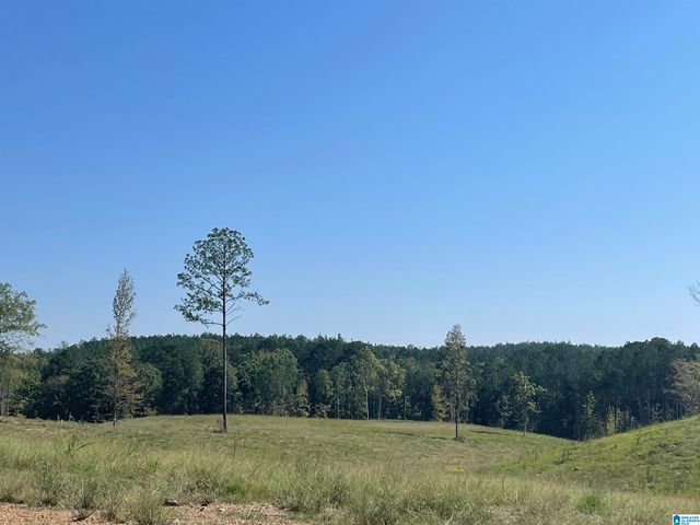 3679 CHELSEA ROAD, Columbiana, AL 35051