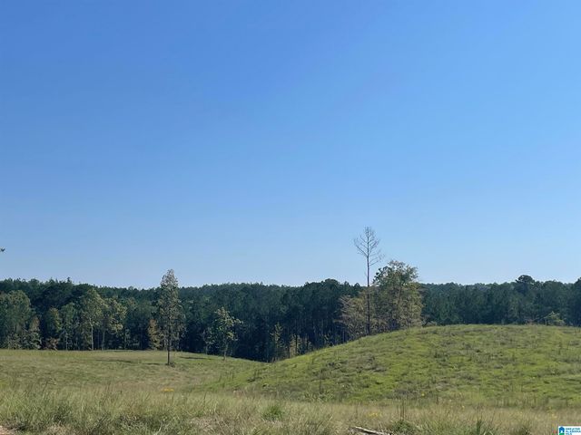 3679 CHELSEA ROAD, Columbiana, AL 35051