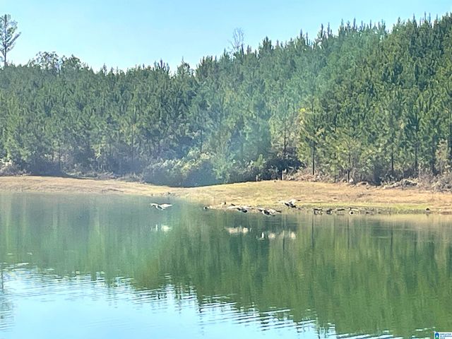 3679 CHELSEA ROAD, Columbiana, AL 35051