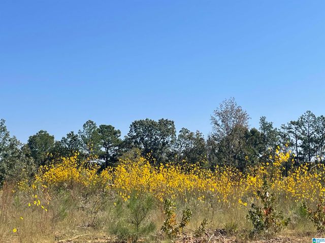 3679 CHELSEA ROAD, Columbiana, AL 35051