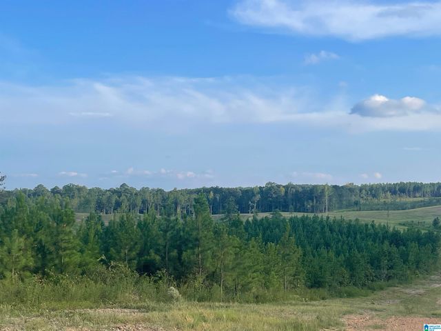 3679 CHELSEA ROAD, Columbiana, AL 35051