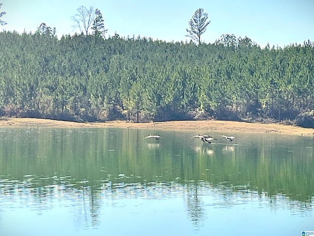 3679 CHELSEA ROAD, Columbiana, AL 35051