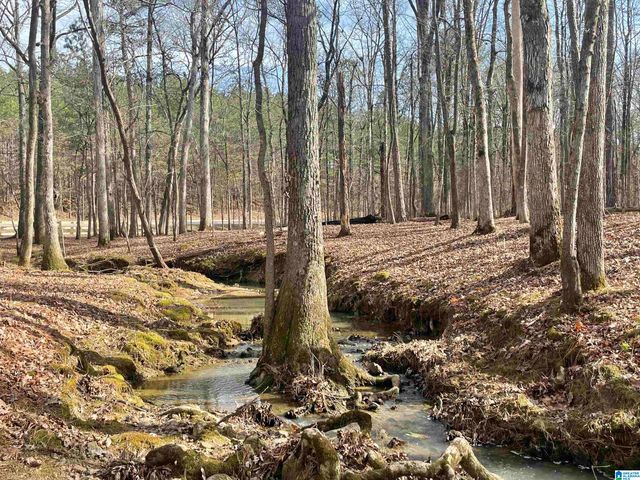 3679 CHELSEA ROAD, Columbiana, AL 35051