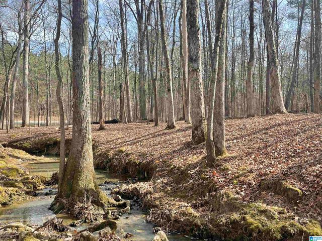 3679 CHELSEA ROAD, Columbiana, AL 35051