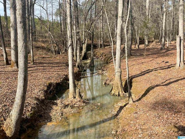 3679 CHELSEA ROAD, Columbiana, AL 35051