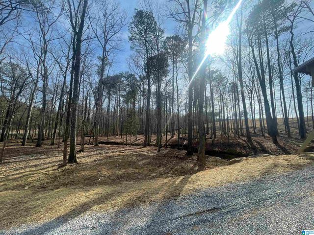 3679 CHELSEA ROAD, Columbiana, AL 35051