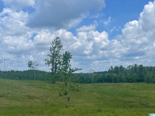 3679 CHELSEA ROAD, Columbiana, AL 35051