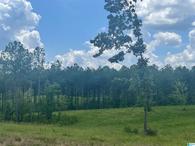 3679 CHELSEA ROAD, Columbiana, AL 35051