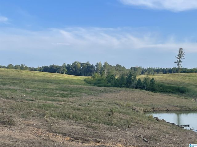 3679 CHELSEA ROAD, Columbiana, AL 35051