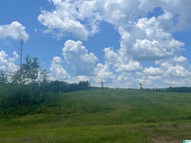 3679 CHELSEA ROAD, Columbiana, AL 35051