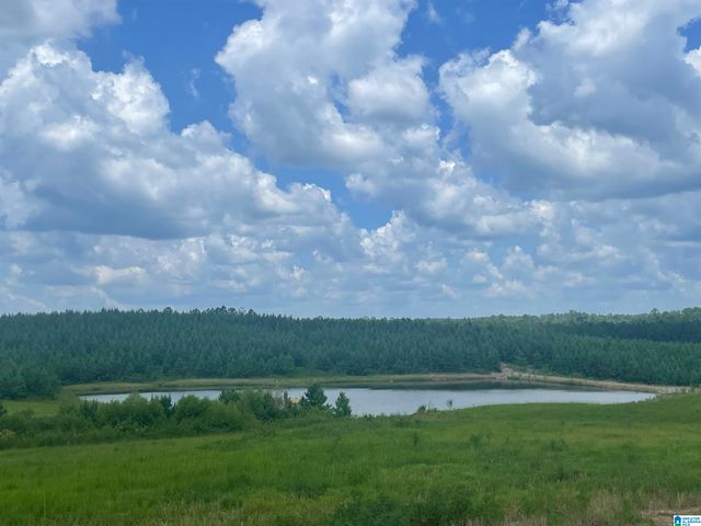 3679 CHELSEA ROAD, Columbiana, AL 35051