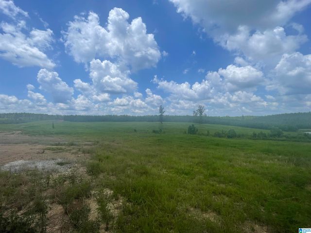 3679 CHELSEA ROAD, Columbiana, AL 35051