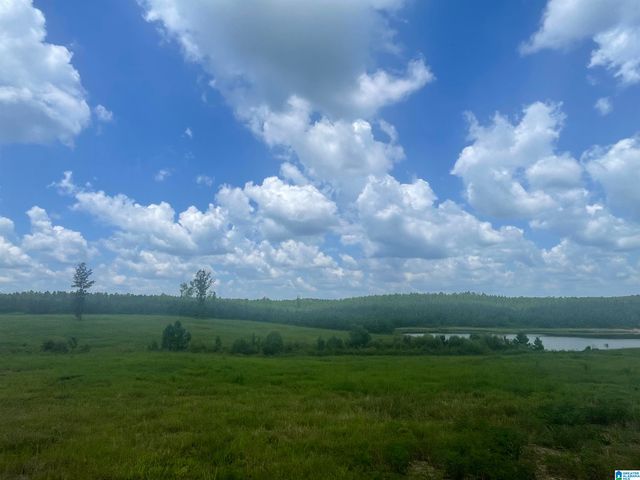 3679 CHELSEA ROAD, Columbiana, AL 35051